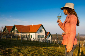 Weinresidenz am Eisenberg, Deutsch Schützen-Eisenberg, Österreich